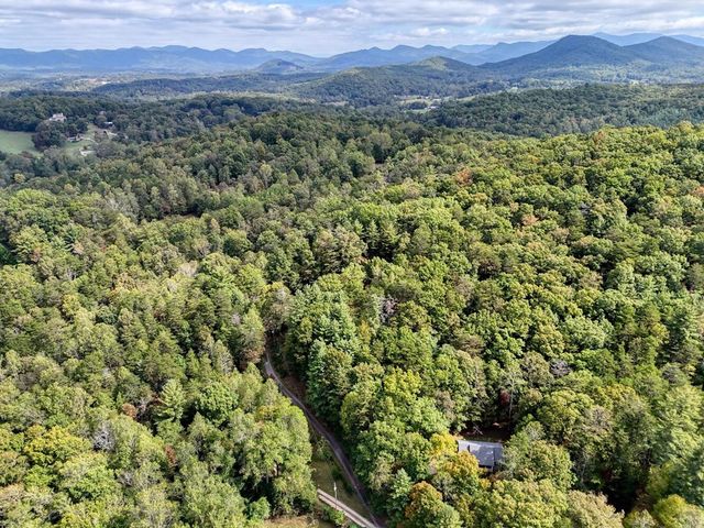 50 Henry Young Lane, Blairsville, GA 30512