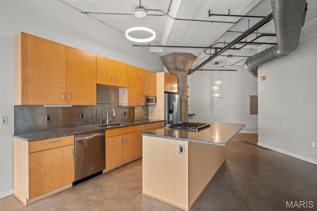 1619 Washington Avenue 204, St Louis, MO 63103