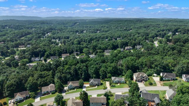 6452 White Tail Drive, Ooltewah, TN 37363