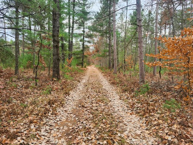 10544 N Lazy Lane, Bitely, MI 49309