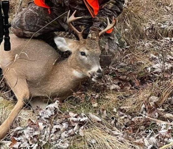 10544 N Lazy Lane, Bitely, MI 49309