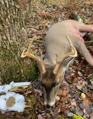 10544 N Lazy Lane, Bitely, MI 49309