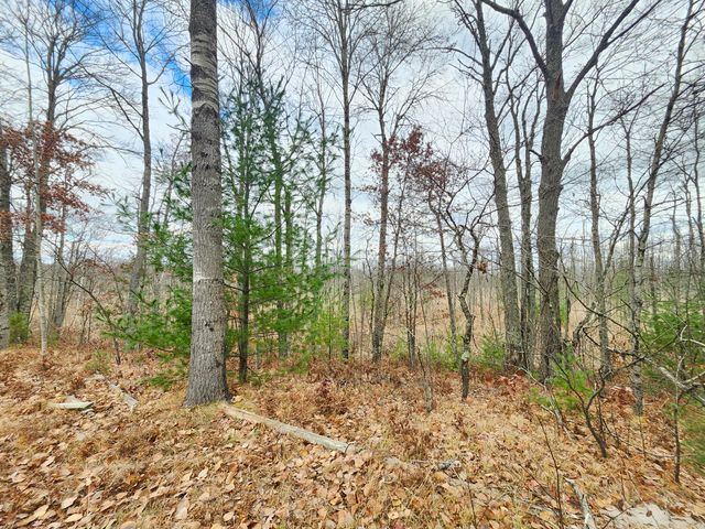 10544 N Lazy Lane, Bitely, MI 49309