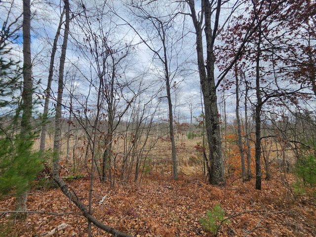 10544 N Lazy Lane, Bitely, MI 49309