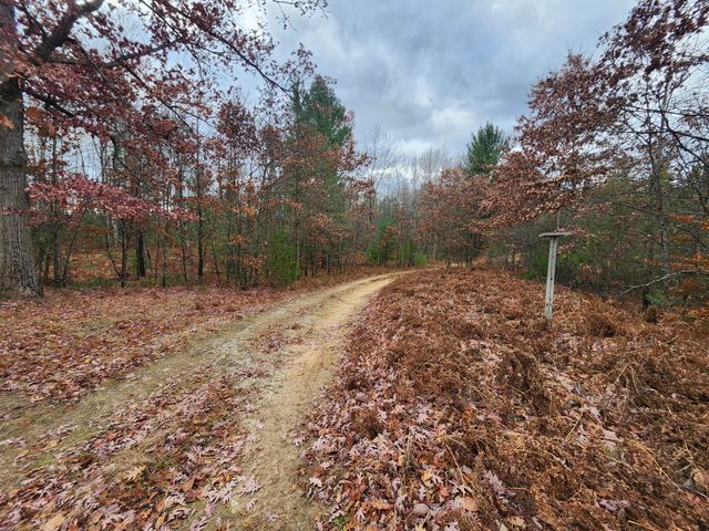 10544 N Lazy Lane, Bitely, MI 49309