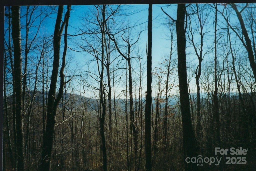 Lot #35 Damselfly Court, Spruce Pine, NC 28777