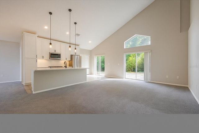 14155 RIDGE CREEK COURT, Orlando, FL 32824