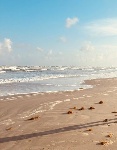 25922 Flamingo Drive, Galveston, TX 77554