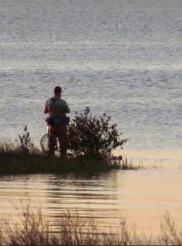 25922 Flamingo Drive, Galveston, TX 77554