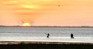 25922 Flamingo Drive, Galveston, TX 77554