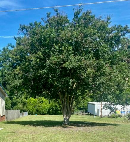8 Arabian Court, Warrenville, SC 29851