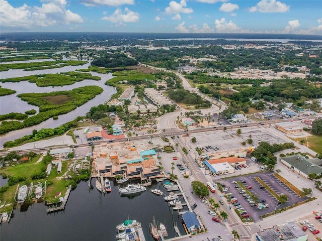 360 LIAM AVENUE, Tarpon Springs, FL 34689