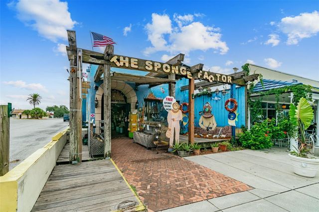 360 LIAM AVENUE, Tarpon Springs, FL 34689