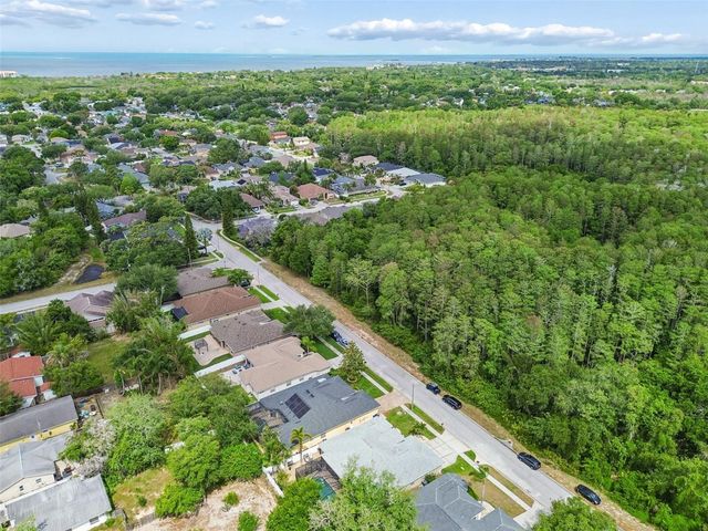 360 LIAM AVENUE, Tarpon Springs, FL 34689