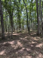 00 Beagle Club Road, Meggett, SC 29449