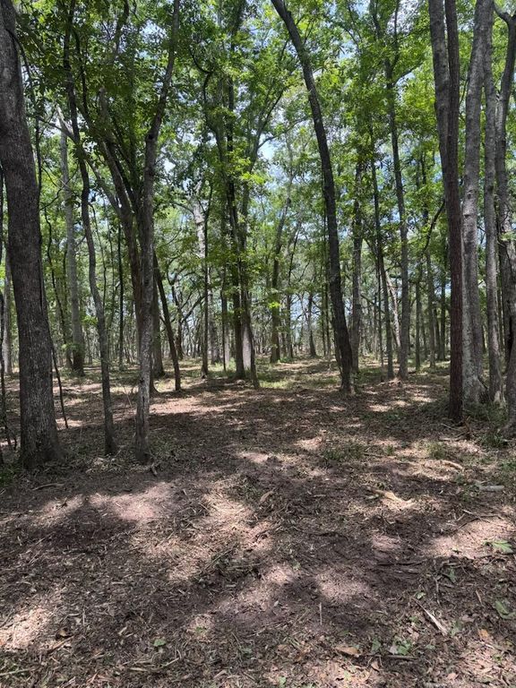 00 Beagle Club Road, Meggett, SC 29449