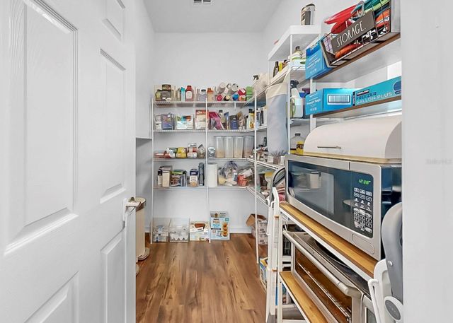 10322 WINE PRESS AVENUE, Riverview, FL 33578