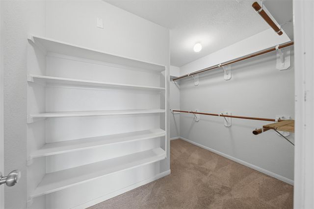 2819 Halcyon Time Trail, Houston, TX 77045