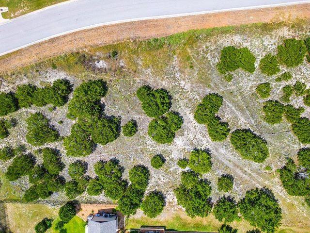 270 Honey Locust CT, Driftwood, TX 78619