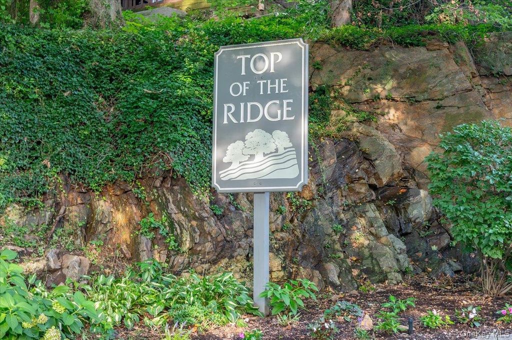 53 Top Of The Ridge A9, Mamaroneck, NY 10543 — photo 3