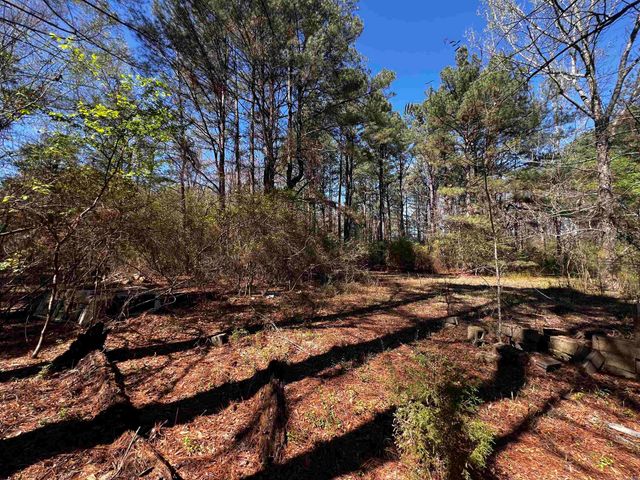 4508 Payton Road, Pine Bluff, AR 71603