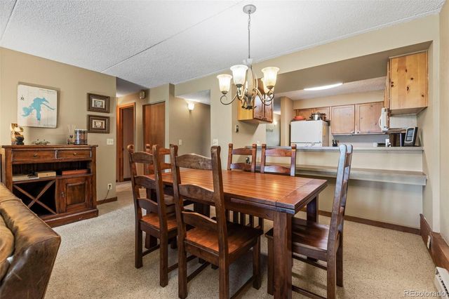 413 W La Bonte Street 102, Dillon, CO 80435