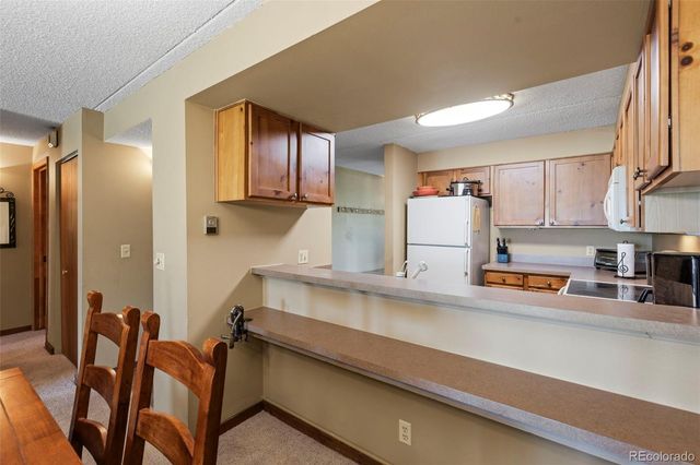 413 W La Bonte Street 102, Dillon, CO 80435