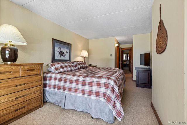 413 W La Bonte Street 102, Dillon, CO 80435