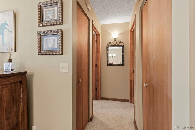 413 W La Bonte Street 102, Dillon, CO 80435