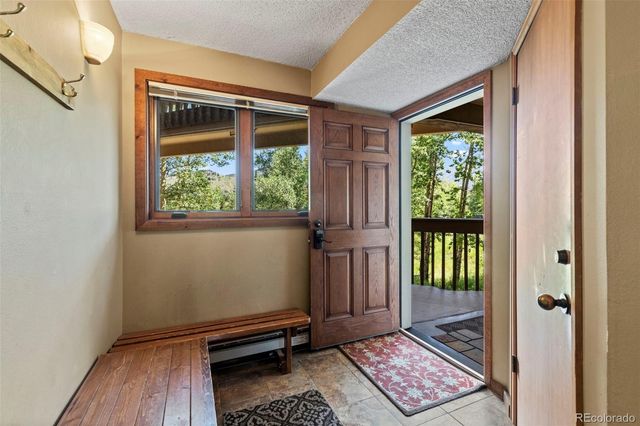 413 W La Bonte Street 102, Dillon, CO 80435