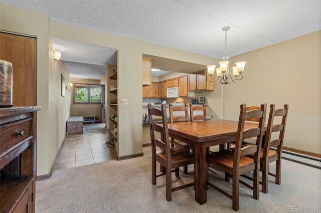 413 W La Bonte Street 102, Dillon, CO 80435