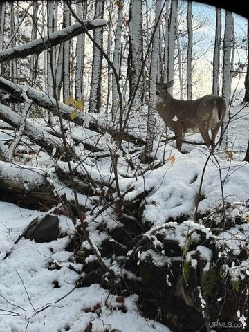 5481 Center Drive, Hurley, WI 54534