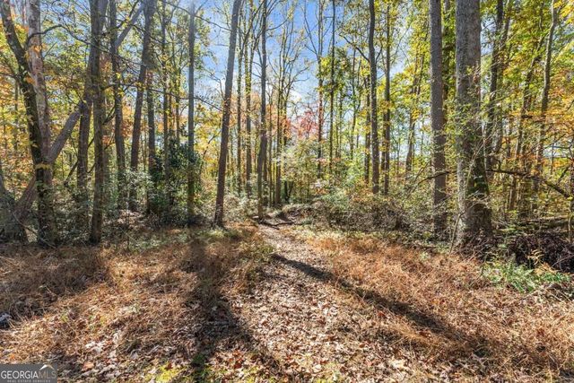 219 Stegall Place, Dawsonville, GA 30534