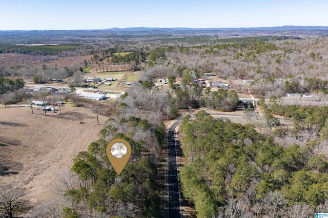 120 COVES DRIVE, Vincent, AL 35178