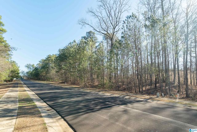 120 COVES DRIVE, Vincent, AL 35178