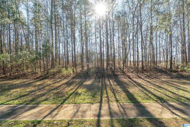 120 COVES DRIVE, Vincent, AL 35178