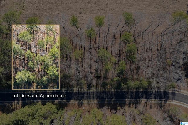 120 COVES DRIVE, Vincent, AL 35178