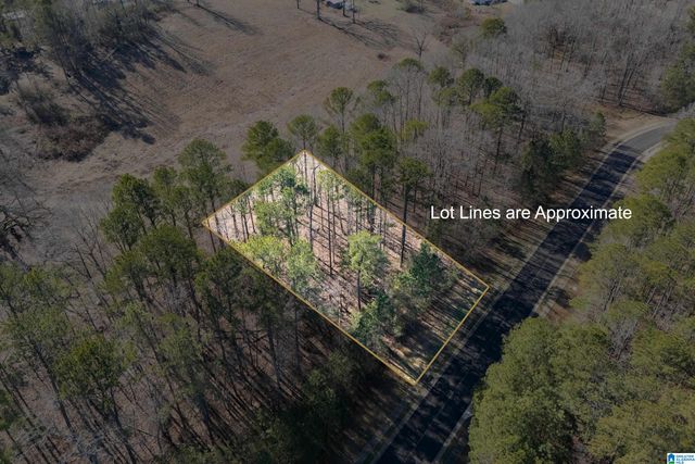 120 COVES DRIVE, Vincent, AL 35178