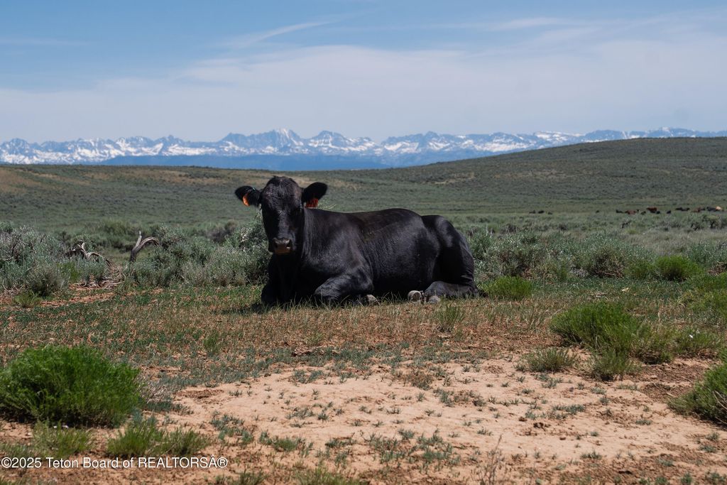 627 RYEGRASS Road, Daniel, WY 83115 photo 49