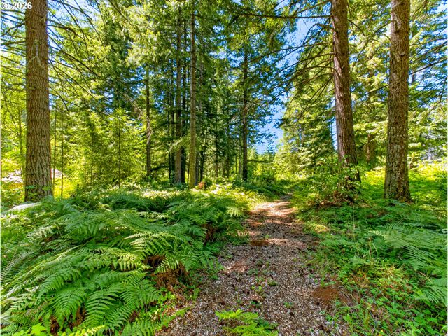 27241 S PEDERSON Rd, Estacada, OR 97023