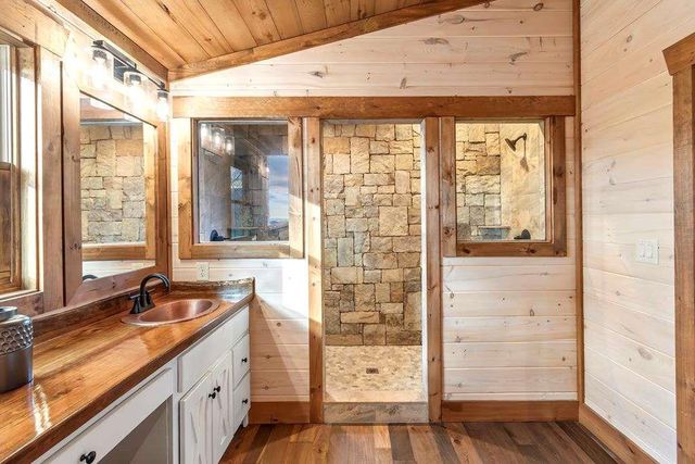 470 Skylight NW Drive, Blue Ridge, GA 30513