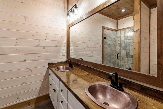 470 Skylight NW Drive, Blue Ridge, GA 30513