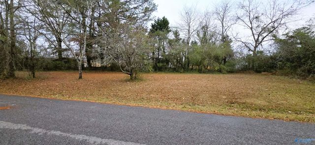 0.40 Dale Drive, Glencoe, AL 35905