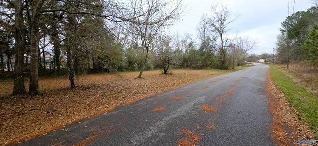 0.40 Dale Drive, Glencoe, AL 35905