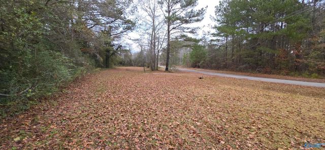 0.40 Dale Drive, Glencoe, AL 35905