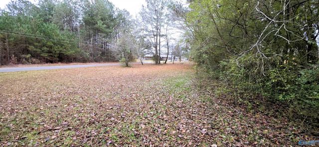 0.40 Dale Drive, Glencoe, AL 35905