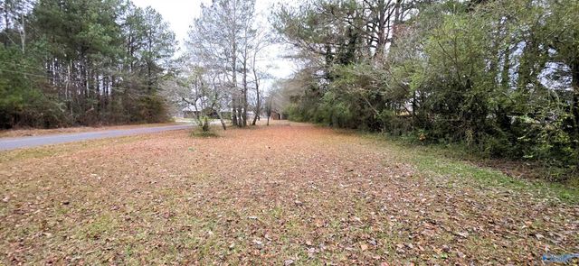 0.40 Dale Drive, Glencoe, AL 35905