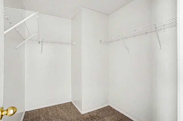 396 Bellegrove Dr., Myrtle Beach, SC 29579