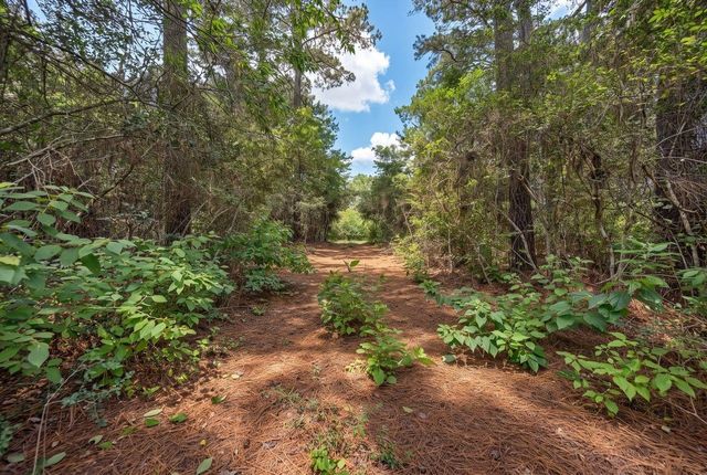 TBA North section 3340 Cr 325, Navasota, TX 77868