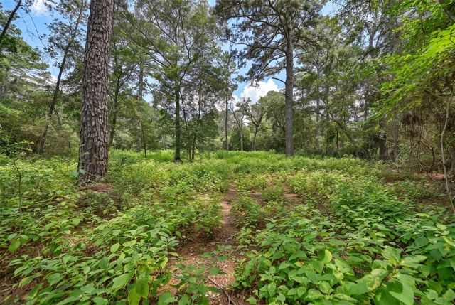 TBA North section 3340 Cr 325, Navasota, TX 77868